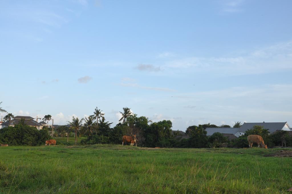 Kubudiuma Villas Bali Canggu Exterior foto
